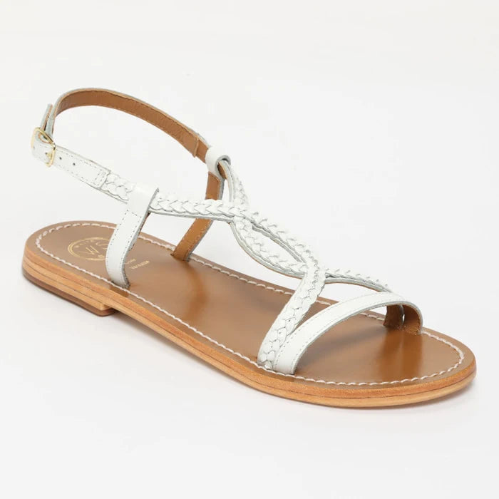 WS-5667_packshot_1.webp